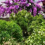 Jozic Apartman *